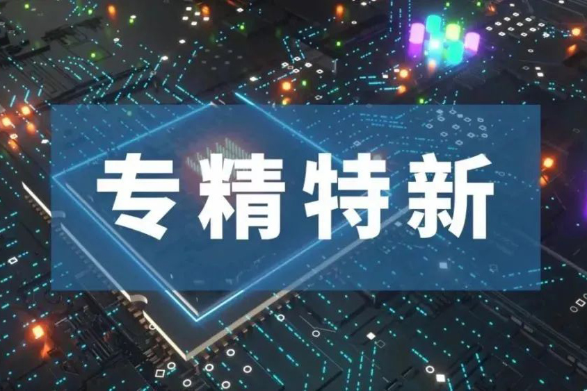 喜报！中卫宝佳成功入选江苏省2022年专精特新企业名单！